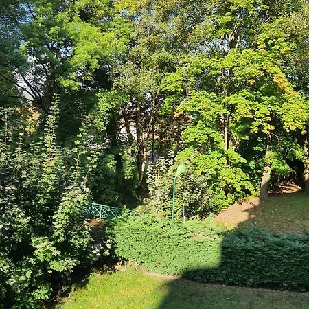 Apartamento Happy Family's Nest Munster (Haut-Rhin)